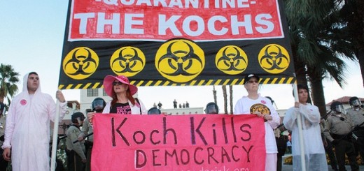 The Kochs
